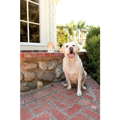 PetSafe® PetSafe® Deluxe Outdoor Bark Control