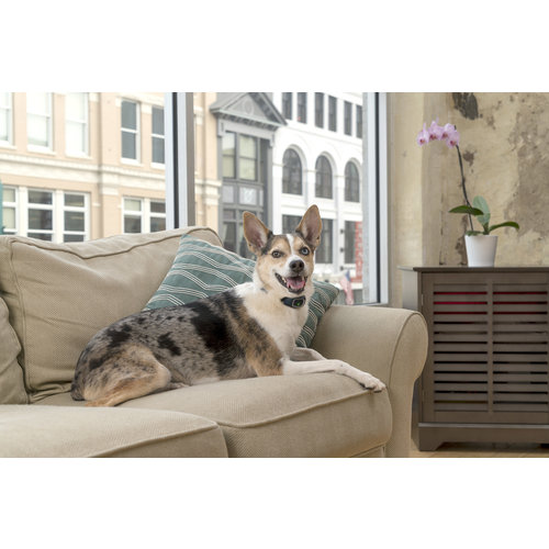 PetSafe® PetSafe®  Lite Rechargeable Bark Control