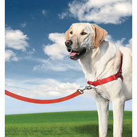 Easy Walk® Easy WalkÂ®  Harness