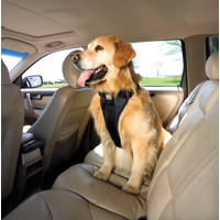 Kurgo Kurgo - Enhanced Strength Tru-Fit Dog Car Harness