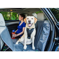 Kurgo Kurgo - Enhanced Strength Tru-Fit Dog Car Harness