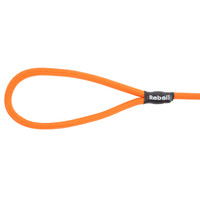 Rebel Petz Rebel Petz Training Leash