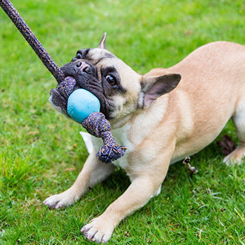 Beco Beco Ball with Rope