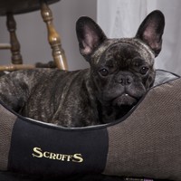 Scruffs® Scruffs Chester Box Bed