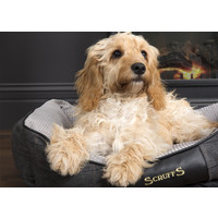 Scruffs® Scruffs Windsor Box Bed