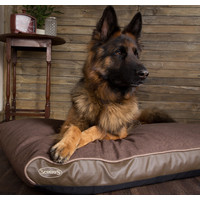 Scruffs Hilton Memory Foam Scruffs® Scruffs Hilton Memory Foam