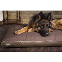 Scruffs Hilton Memory Foam Scruffs® Scruffs Hilton Memory Foam