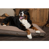 Scruffs Hilton Memory Foam Scruffs® Scruffs Hilton Memory Foam