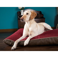 Scruffs Hilton Memory Foam Scruffs® Scruffs Hilton Memory Foam