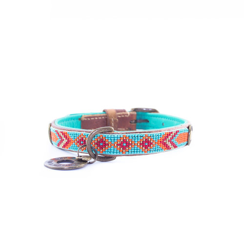 Dog With A Mission DWAM Paddy Lee Collar