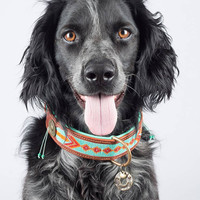 DWAM Paddy Lee Hundehalsband Dog With A Mission DWAM Paddy Lee Hundehalsband