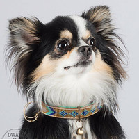 Dog With A Mission DWAM Indi Moon Collar