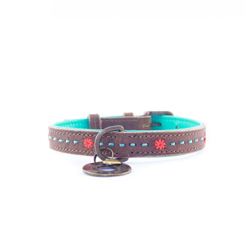 Dog With A Mission DWAM Joplin Collar