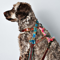 DWAM Boho Hundeleine Dog With A Mission DWAM Boho Hundeleine