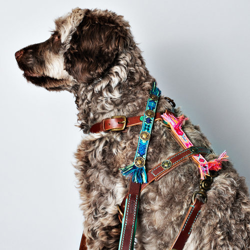 Dog With A Mission DWAM Boho Leash