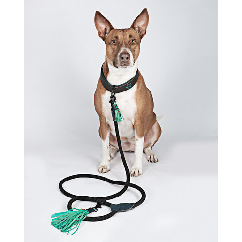 Dog With A Mission DWAM Dog Leash