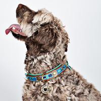 DWAM Boho Hundehalsband Dog With A Mission DWAM Boho Hundehalsband