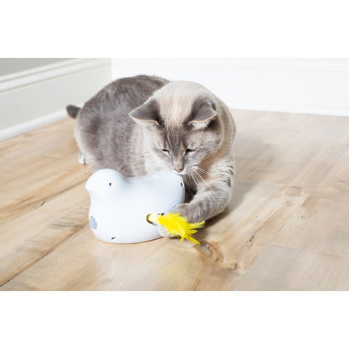 PetSafe® Petsafe Peek-a-bird - Electronic cat toy