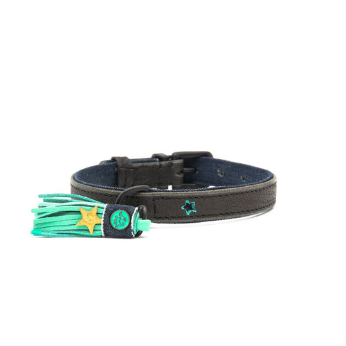 Dog With A Mission DWAM Boy Collar