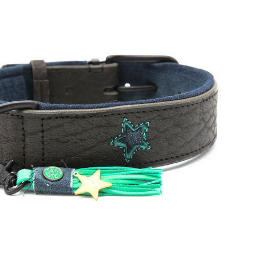 Dog With A Mission DWAM Boy Collar