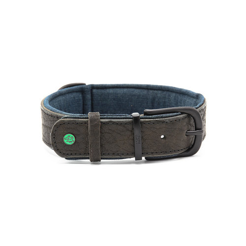 Dog With A Mission DWAM Boy Collar