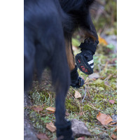 RukkaPets Step Shoes RukkaPets RukkaPets Step Shoes