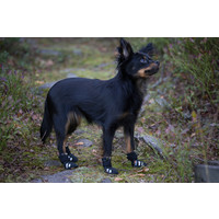 RukkaPets Step Shoes RukkaPets RukkaPets Step Shoes