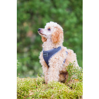RukkaPets Comfort Air Harness RukkaPets RukkaPets Comfort Air Harness