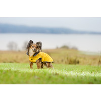 RukkaPets Stream Raincoat RukkaPets RukkaPets Stream Raincoat