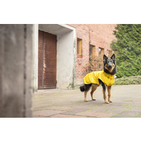 RukkaPets Stream Raincoat RukkaPets RukkaPets Stream Raincoat