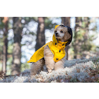 RukkaPets Stream Raincoat RukkaPets RukkaPets Stream Raincoat