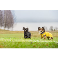 Rukka RukkaPets Stream Raincoat