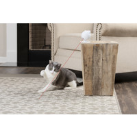 Frolicat Dancing Dot Laser Cat Toy Frolicat Frolicat Dancing Dot Laser Cat Toy