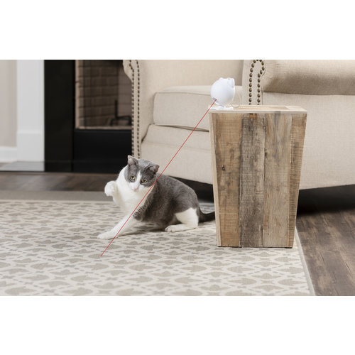 PetSafe® Frolicat Dancing Dot Laser Cat Toy