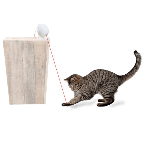 PetSafe® Petsafe® Dancing Dot Laser Cat Toy