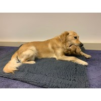 HuggleHounds® Fleece Mat HuggleHounds® HuggleHounds® Fleece Mat