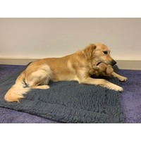 HuggleHounds® HuggleHounds® Fleece Mat