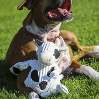 HuggleHounds® Knotties™ Kuh HuggleHounds® HuggleHounds® Knotties™ Kuh