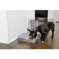 PetSafe® Petsafe® Automatic 2 Meal Pet Feeder