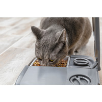 PetSafe® Petsafe® Automatic 2 Meal Pet Feeder