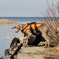 Rukka Rukka - Safety Life Vest - Rettungsweste