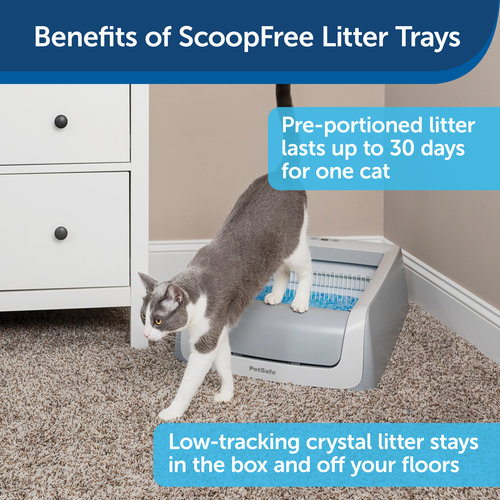 PetSafe® Petsafe ScoopFree® 1.5 Cat Litter Box - Selbstreinigende Katzentoilette