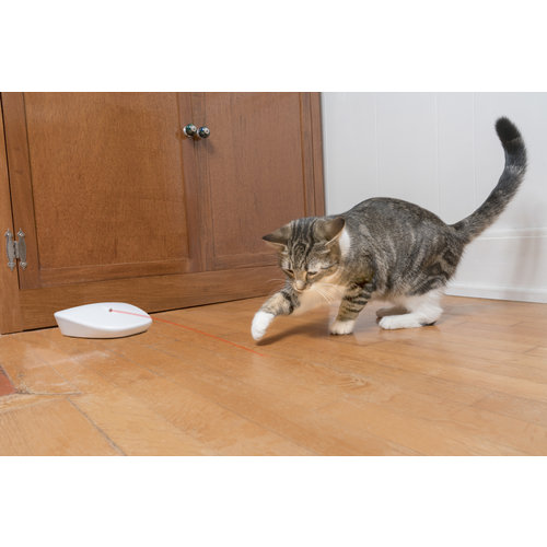 PetSafe® Frolicat Laser Tail Light