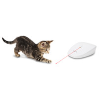PetSafe® Petsafe® Laser Tail Light - Katzenspielzeug