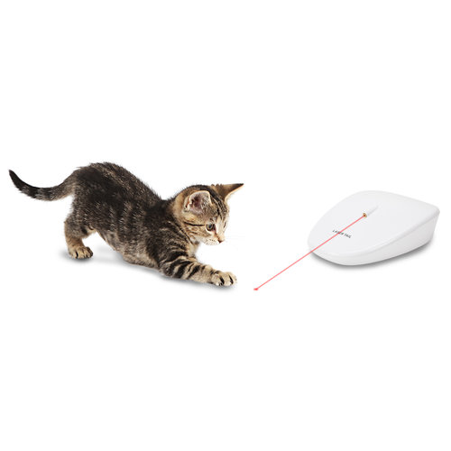 PetSafe® Frolicat Laser Tail Light