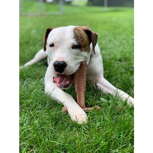 Spot SPOT Bam-Bones Plus Easy Grip