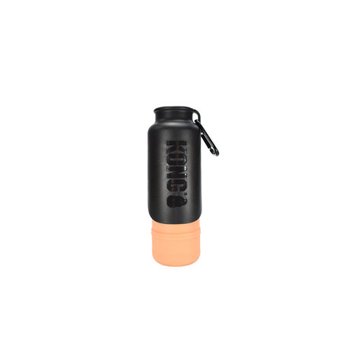 KONG Kong H2O Insulated Water Bottle