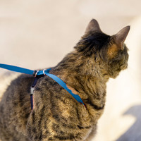 Easy Walk® Easywalk Cat Harness