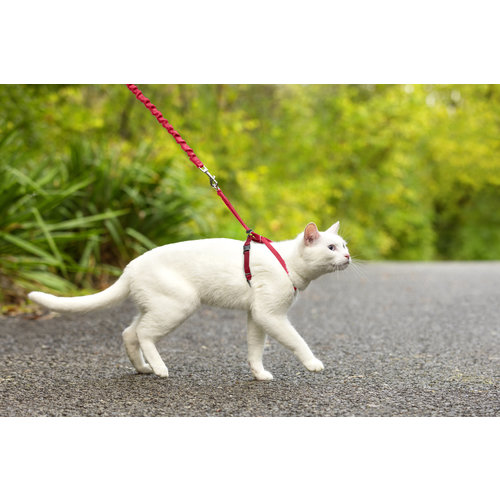 Easy Walk® Easywalk Cat Harness