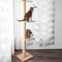 BeOneBreed Katt3 Evo Tower BeOneBreed BeOneBreed Katt3 Evo Tower